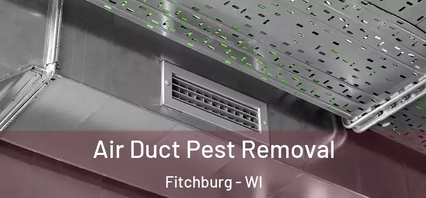 Air Duct Pest Removal Fitchburg - WI
