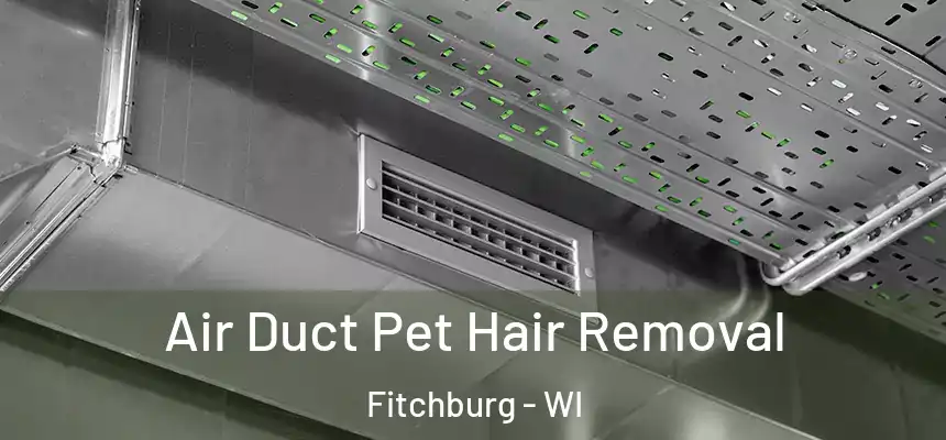  Air Duct Pet Hair Removal Fitchburg - WI