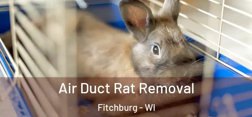  Air Duct Rat Removal Fitchburg - WI