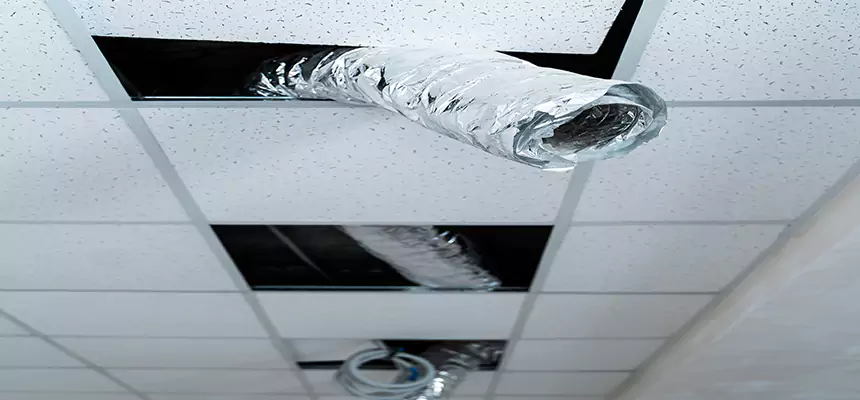 Our Air Duct Pet Hair Removal Services in Fitchburg, WI