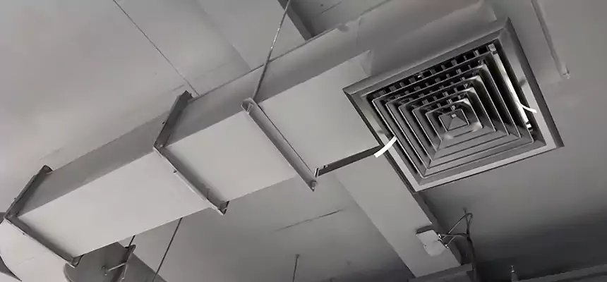 Restorative Allergy Relief Vent Cleaning – Coil, Blower & Housing Detail in Fitchburg