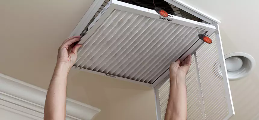 Our Insect Removal from Air Ducts Services in Fitchburg, WI