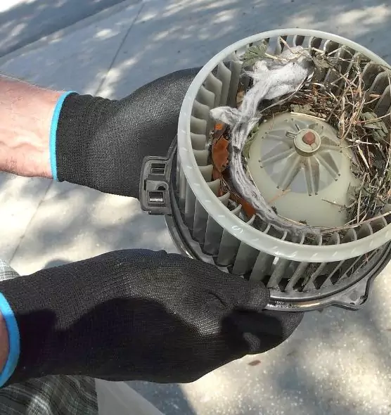 About Air Duct Mice Removal in Fitchburg, WI