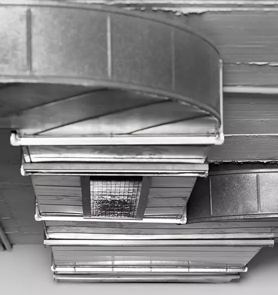 Professional Air Duct Pest Removal in Fitchburg, WI