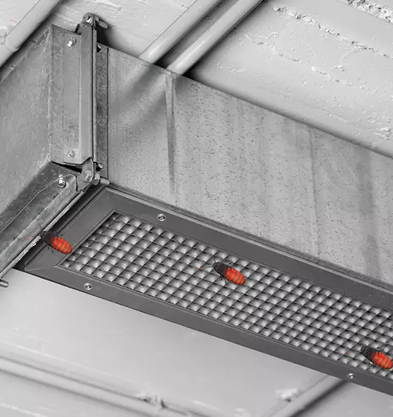 Affordable Insect Removal from Air Ducts in Fitchburg, WI
