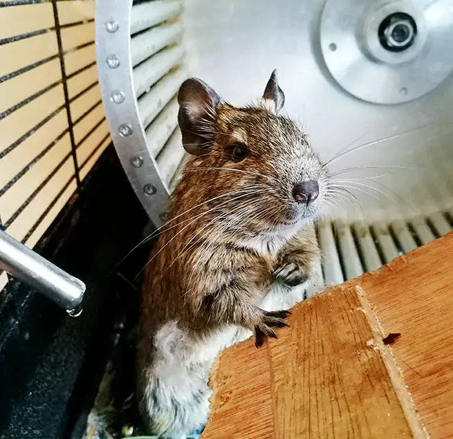 Why Homeowners & Businesses Trust Us Fitchburg, WI